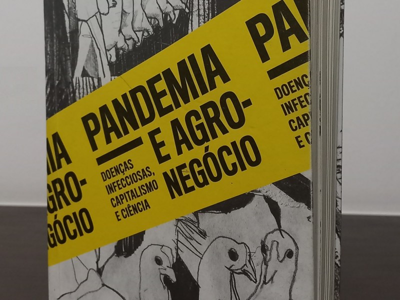 Pandemia e Agronegócio