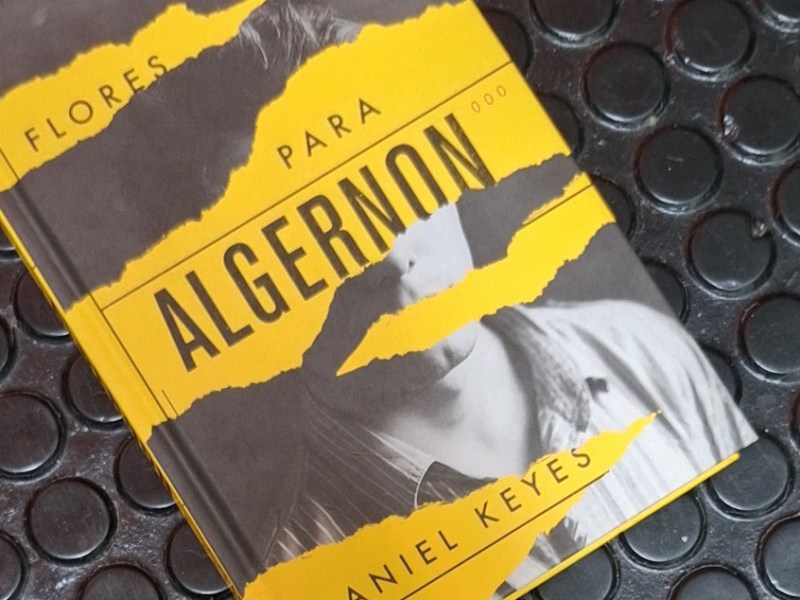 Flores para Algernon